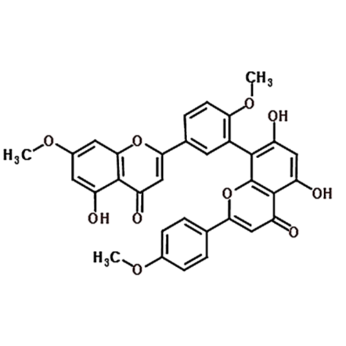 Sciadopitysin 521-34-6