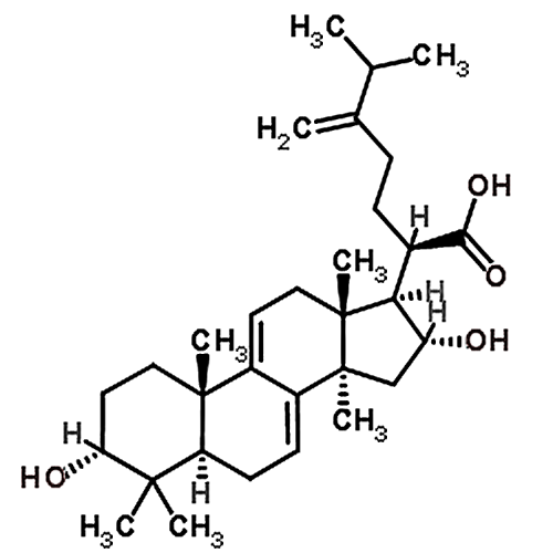 3-Epidehydrotumulosic acid 167775-54-4
