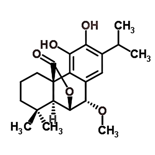 7-O-Methylrosmanol 113085-62-4