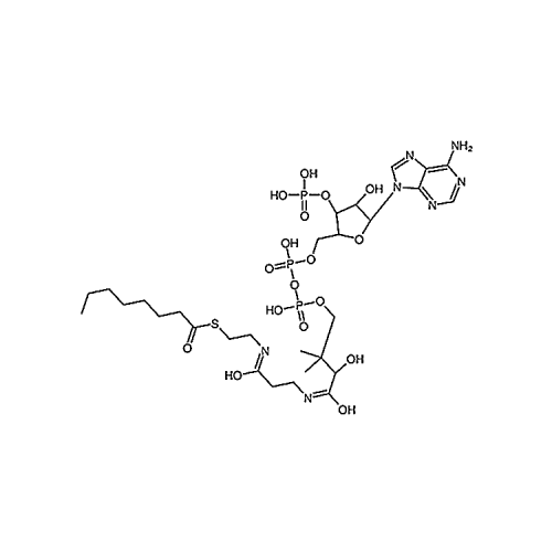 Octanoyl Coenzyme A, Free acid 1264-52-4
