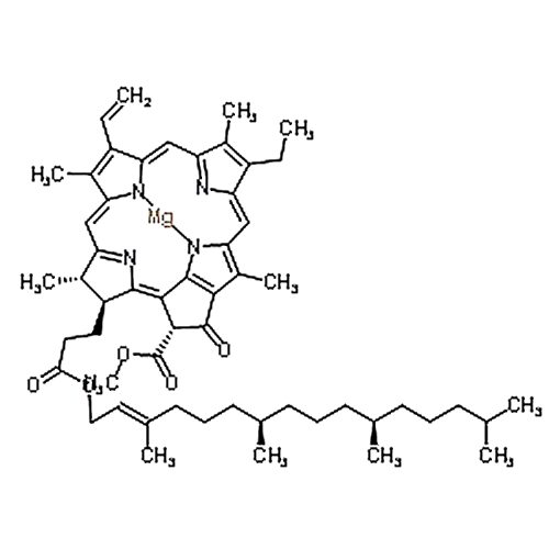 Chlorophyll a 479-61-8