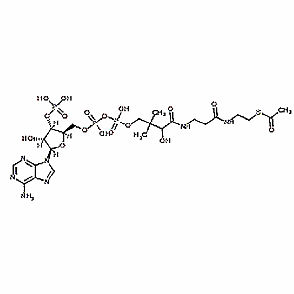 Acetyl coenzyme A sodium salt 102029-73-2