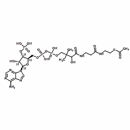 Acetyl coenzyme A sodium salt 102029-73-2
