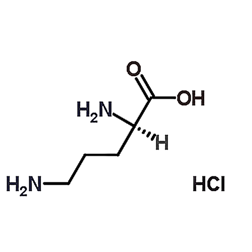 D-Ornithine, monohydrochloride 16682-12-5