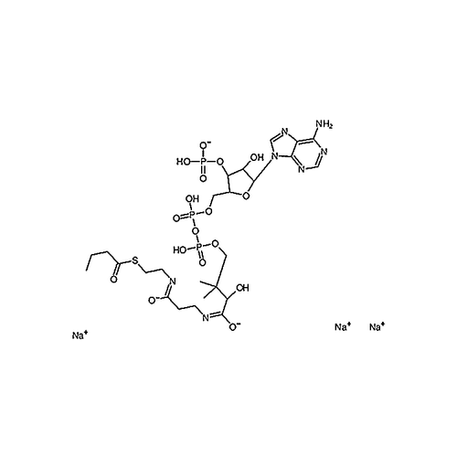 Butanoyl Coenzyme A Sodium Salt 799812-79-6