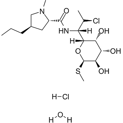 Clindamycin Hydrochloride Monohydrate 58207-19-5
