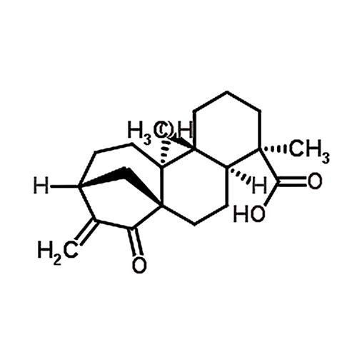 ent-9-Hydroxy-15-oxo-16-kauren-19-oic acid 77658-39-0