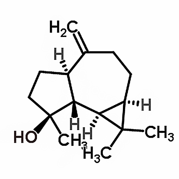 Spathulenol 6750-60-3