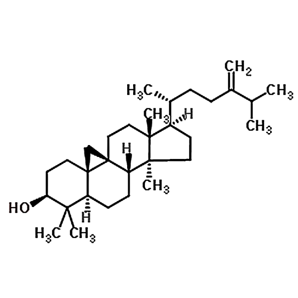 24-Methylenecycloartan-3β-ol 1449-09-8