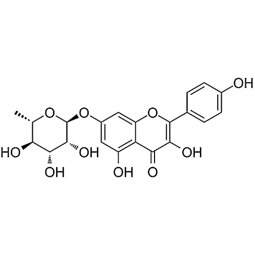 Kaempferol 7-O-rhamnoside 20196-89-8