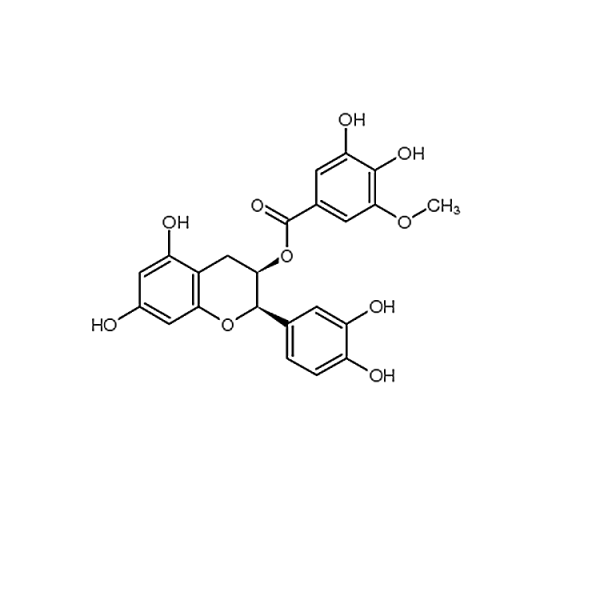 (-)-Epicatechin 3-(3´´-O-methyl)gallate 83104-86-3