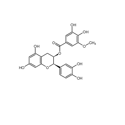 (-)-Epicatechin 3-(3´´-O-methyl)gallate 83104-86-3
