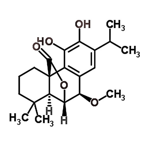 7beta-Methoxyrosmanol 24703-38-6