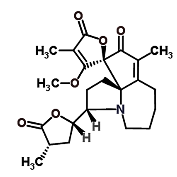 Protostemotinine 169534-85-4