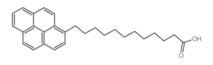 1-Pyrenedodecanoic acid 69168-45-2