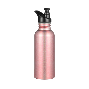 SINGLE WALL WATER BOTTLE FM-1019-FM-1021
