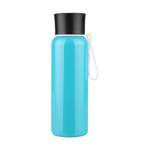 Stainless Steel Bottle / Classic S243