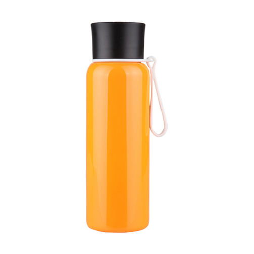 Stainless Steel Bottle / Classic S243