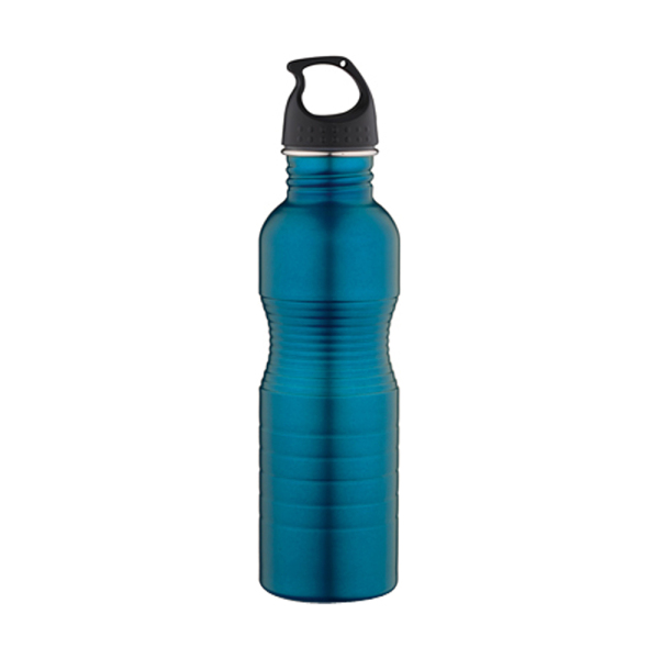 Stainless Steel Bottle / Classic S207