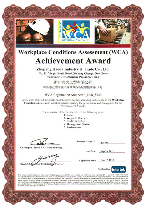WCA/Workplace Conditions Assessment