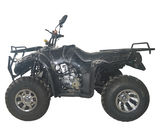 SHATV-031