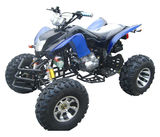 SHATV-032