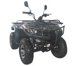 SHATV-031