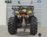 SHATV-028 250CC off road atv 