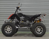 SHATV-040 161CC/CM3 ATV