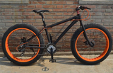 BICYCLE 26