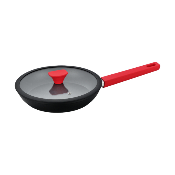 Fry pan FY1002-01
