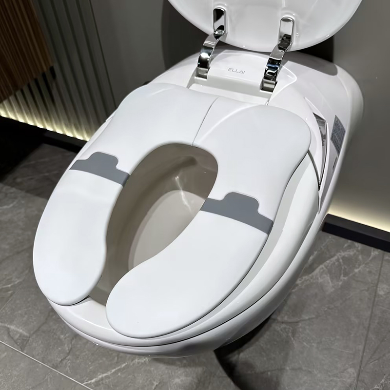 New Foldable Potty 