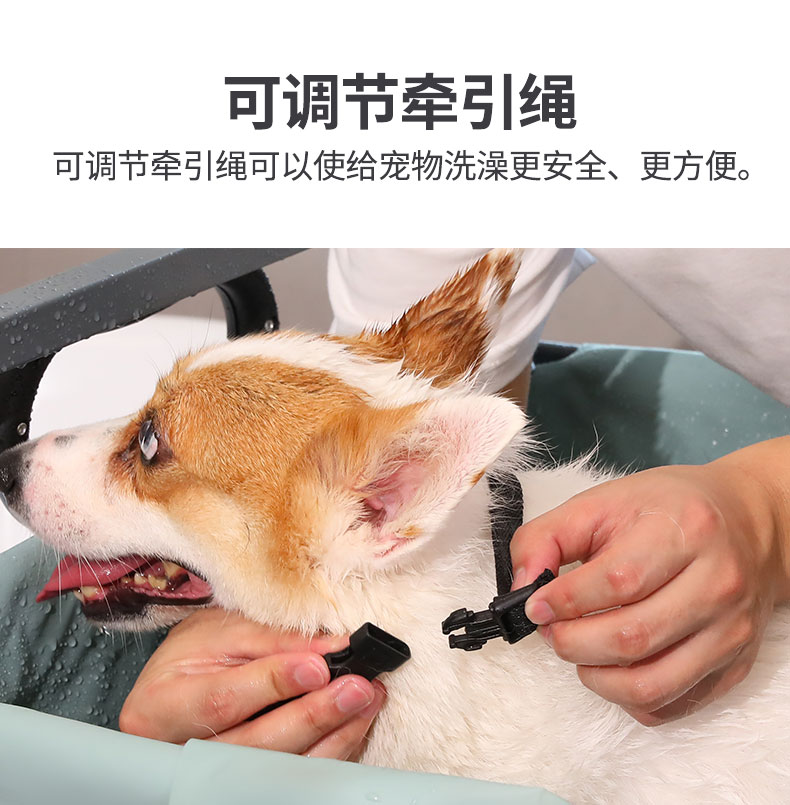 宠物洗澡车中文_12.jpg