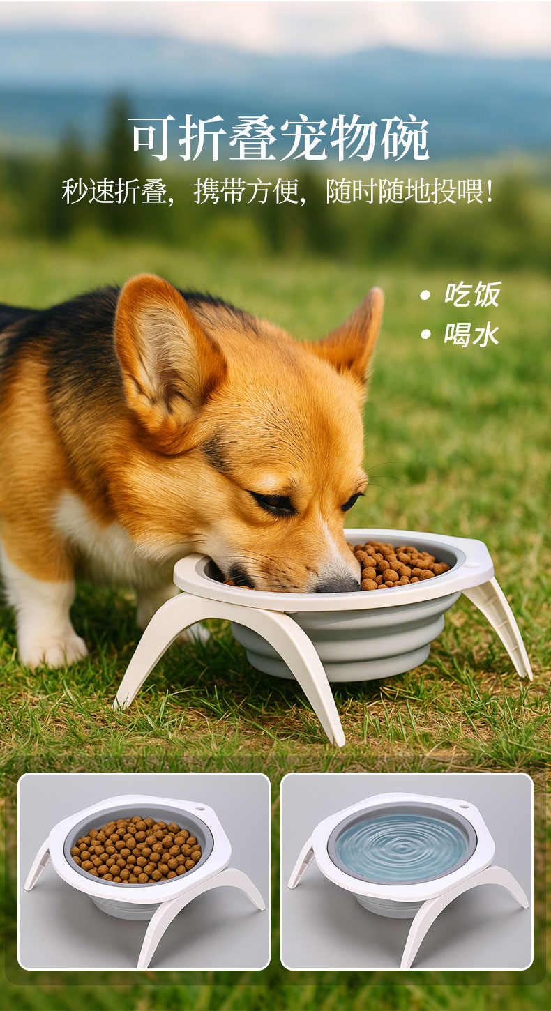 折叠碗中文_01.jpg