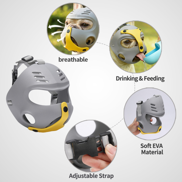 French Bulldog Muzzle 