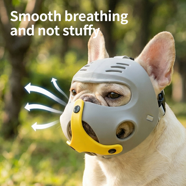 French Bulldog Muzzle 