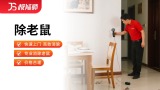 除老鼠