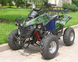 SHATV-013