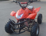 SHATV-009