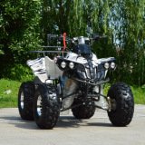 ATV