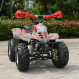 110CC   ATV  