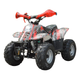 110CC   ATV  