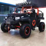 1000cc UTV