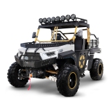 1000cc UTV