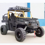 1000cc UTV