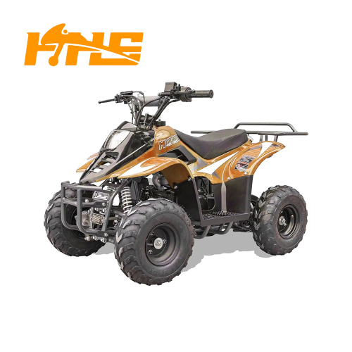ATV 