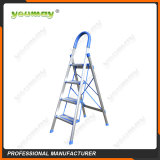 Folding ladders