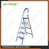 Folding ladders