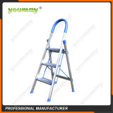 Folding ladders