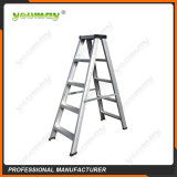 Double-sided ladders